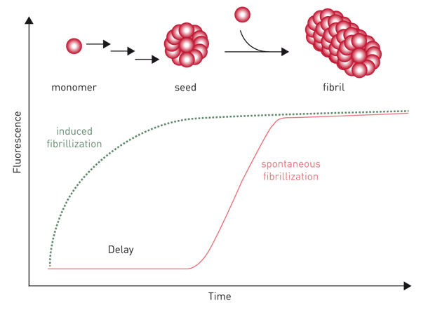 Fig. 10: fibrillization process followed over time.