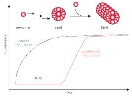 Fig. 10: fibrillization process followed over time.