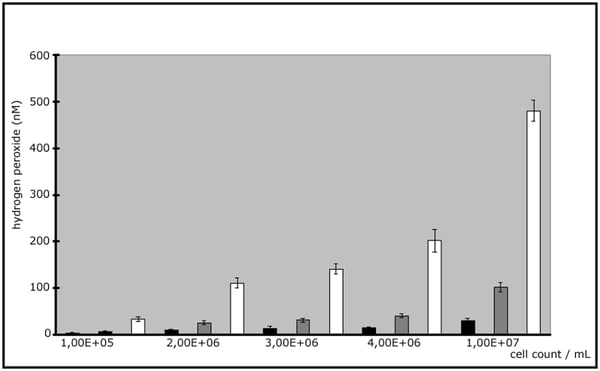 Fig. 1: H2O2 production of AF 71 depends on incubation period and cell number.