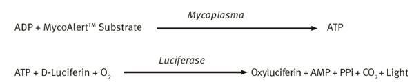 Equation 1: MycoAlert reaction equation