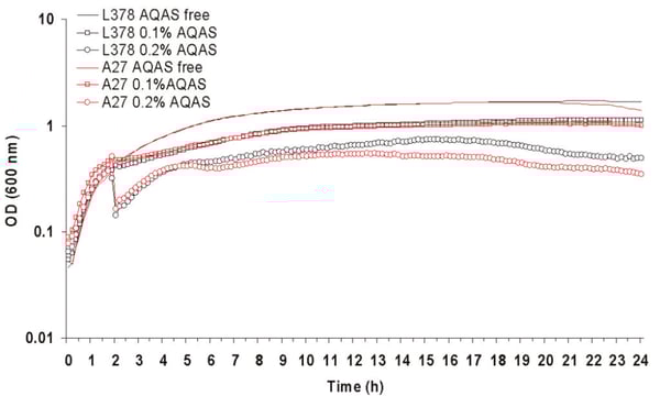 Fig. 2: Growth of AQAS selected mutant A27 and parent L378 at 37°C after inoculation with 4% vol/vol of overnight culture. AQAS was added to cultures at 2 h.