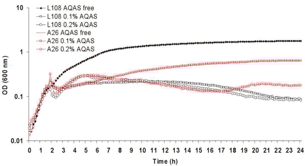 Fig. 3: Growth of AQAS selected mutant A26 and parent L108 at 37°C after inoculation with 4% vol/vol of overnight culture. AQAS was added to cultures at 2 h.