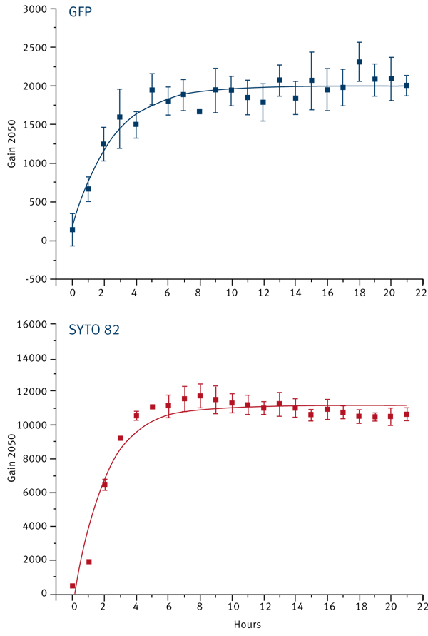 Fig. 3: PC3-GFP cells were pre-labelled with SYTO 82, plated in FluoroBlok invasion chambers and placed in the BMG LABTECH reader with either ACU or Gas Vent set at 37°C and left overnight inﬂ ated with 5% CO2 air. Readings were taken every hour on both GFP and SYTO 82 wave lengths for a period of 21 hr.