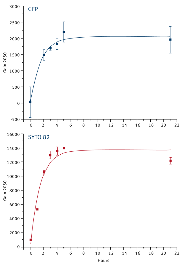 Fig. 4: PC3-GFP cells were pre-labelled with SYTO 82, plated in FluoroBlok invasion chambers and placed in a regular incubator overnight. Readings were taken on the BMG LABTECH reader every hour for the ﬁrst 5 hr then a ﬁnal reading at 21 hr. Plates were placed back in the incubator in between readings.