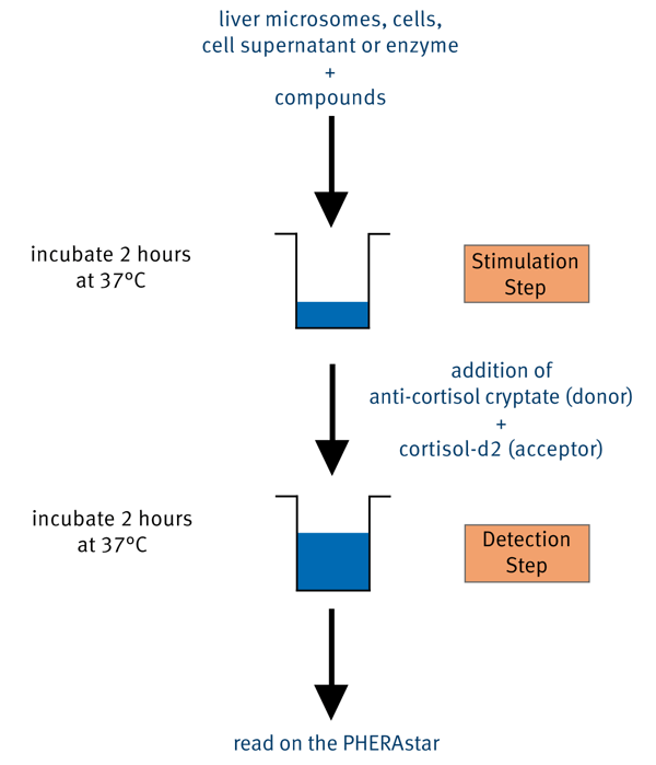 Fig. 1: Principle of Cisbio’s cortisol assay.
