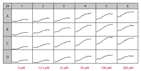 Fig. 1: Current State Picture of PI ﬂuorescence measurement by various concentration of glutamate.
