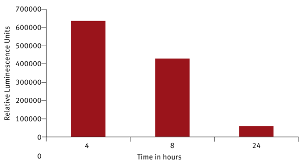 Fig. 3: Time course of RLTK RNA translation over 24 hours.