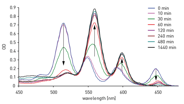 Fig. 2: Changes in visible spectrum accompanying zinc metallation of TPP in chloroform. Arrows indicate the evolution of the absorption bands with time.