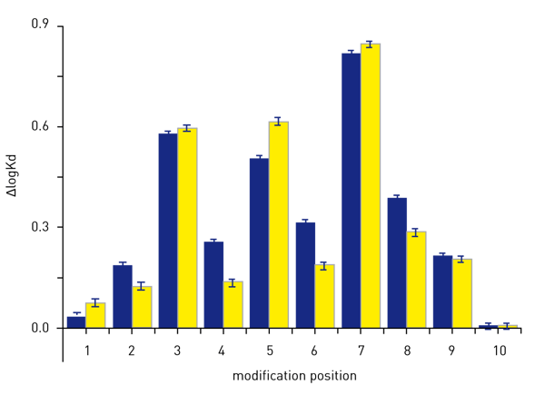 Fig. 4: Effects of dinucleotide modifications on affinity of p53 for DNA. Nonmodified (blue) or modified (yellow) dinucleotide was systematically substituted into the reference sequence at positions 1-10 of the first half site.