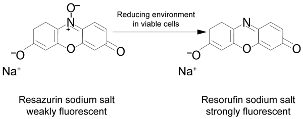 Fig. 1: alamarBlue assay principle.