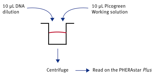 Fig. 1: Easy “Mix + Measure” protocol is used for dsDNA quantification.