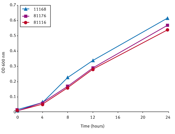 Fig. 1: Growth of C. jejuni genome strains over a 24 hour period grown in shaking tubes in a VAIN.