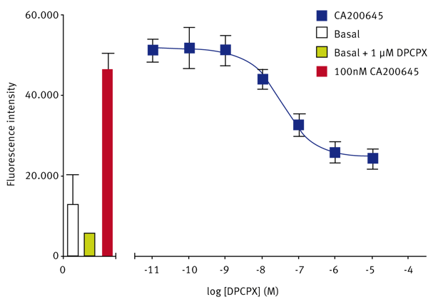 Fig. 2: Fluorescent ligand binding at human adenosine A1 receptors, and displacement with the unlabelled A1-selective competitor DPCPX.