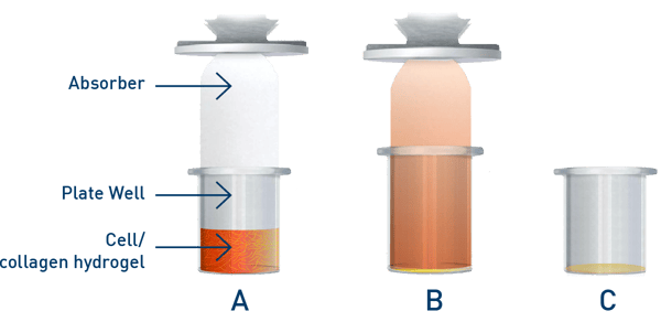 Fig. 1: RAFT Process Principle.
