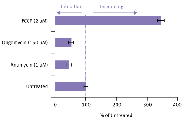 Fig. 3: Relative effect of drug treatment on cultures plated at 80,000 cells/well.