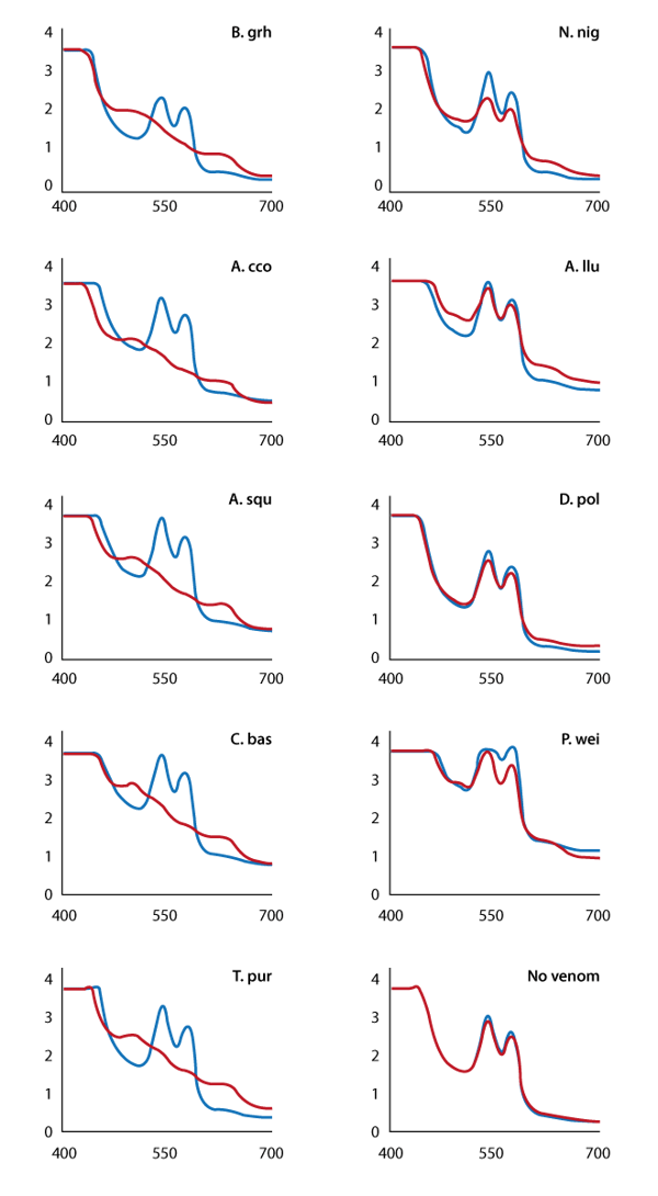 Fig. 1: Screening a snake venom library for haemoglobin-modifying activity Haemoglobin absorbance spectrum before (blue trace) and after 16 hours’ incubation (brown trace) with venom from members of the Viperidae family (left column), the Elapidae family (right column) or in the absence of venom (bottom right). The x-axis shows wavelengths in nm, the y-axis exhibits the corresponding OD values.