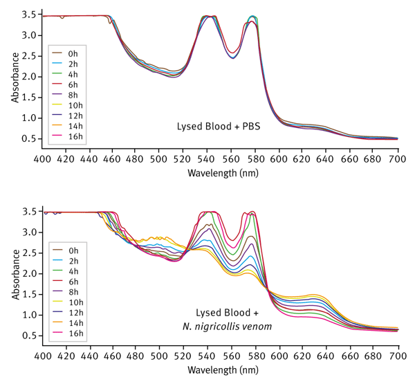 Fig. 2: Time-dependent change in haemoglobin absorbance spectrum in the presence of N.nigricollis venom Lysed sheep blood incubated with PBS only (upper graph) or N. nigricollis venom (lower graph). Spectrum recorded at 2 hour intervals.