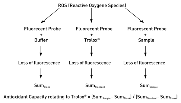 Fig. 1: ORAC Assay Principle.
