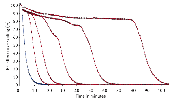 Fig. 2: Signal curves for different Trolox concentrations (red graphs) and a blank without Trolox (blue graph) recorded on the PHERAstar FS in 384-well format. The curves were normalized to 100 %. The 100 % value is the maximum value that is obtained directly after injection of AAPH.