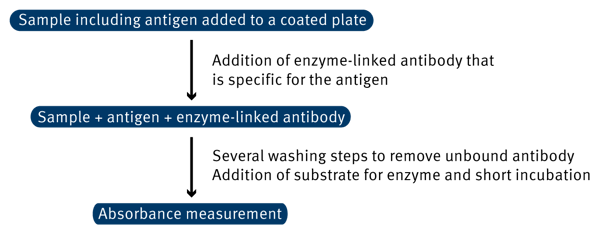 Fig. 1: ELISA Assay Principle.