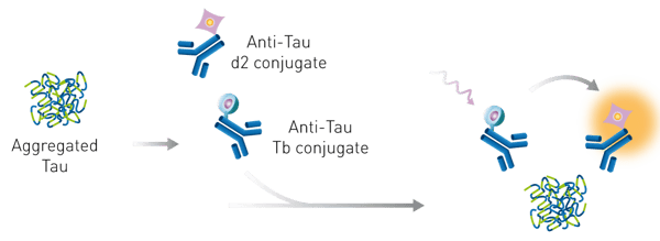 Fig. 1: HTRF tau aggregation assay principle.