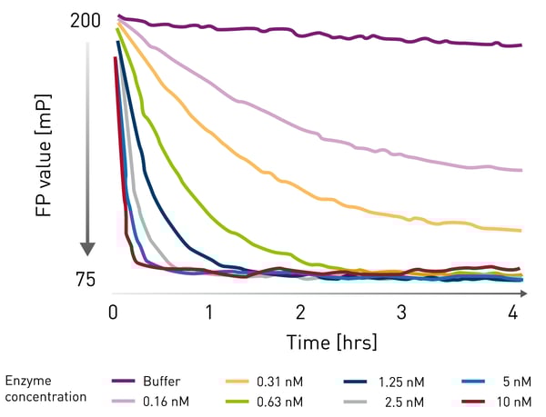 Fig. 3: Progress curves for the de-neddylating activity of CSN5 at different concentrations.