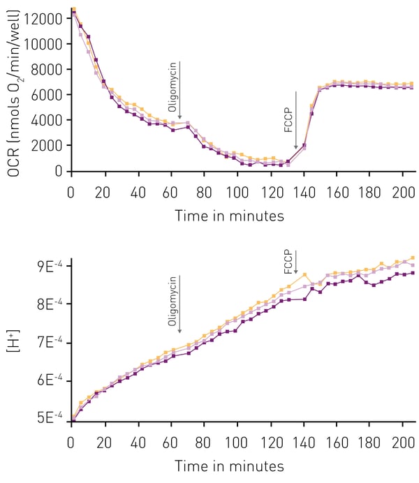 Fig. 2: Simultaneous measurement of OCR and [H+] in response to oligomycin and FCCP. OCR and ECA was measured for H9C2 cells using the adherent cell protocol. Arrows indicate injection of oligomycin and FCCP, respectively. The ﬁrst 40 minutes of the OCR trace is indicative of plate equilabration to the oxygen environment and should not be used as respiration data.