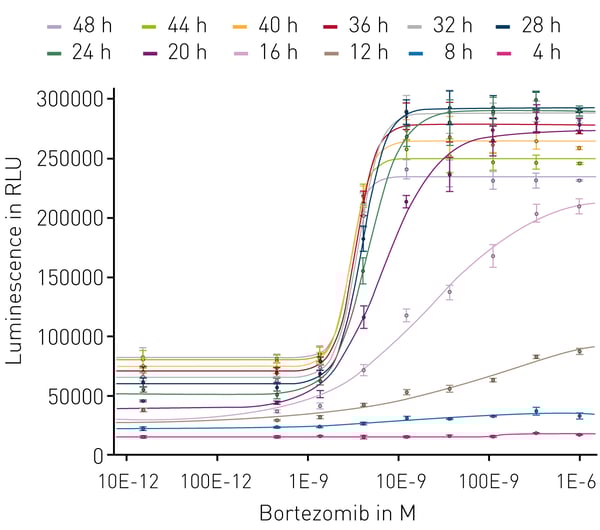Fig. 3: Time and dose-dependent on set of apoptosis. Dose-response curves were generated at the indicated time points for treatment with bortezomib (n = 4). PS exposure as a result of apoptosis is measurable beginning at 12hr and progresses with increasing potentcy until 24hr. Luminescence is maintained thereafter, offering a persistent view of the totality of the apoptotic response.