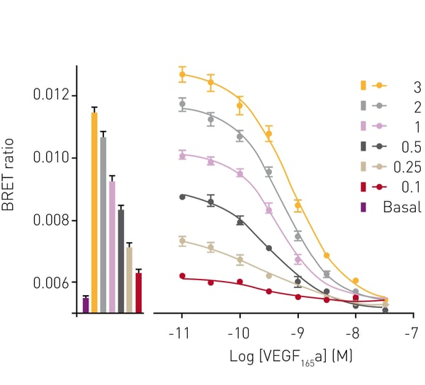 Fig. 3: Inhibition of VEGF165a-TMR binding to NLuc-VEGFR2 by VEGF165a. Fixed concentrations of VEGF165a-TMR (0.1–3 nM) were added simultaneously with increasing concentrations of the unlabeled VEGF165a and incubated for 1 h at 37 °C. Data represent mean ± S.E.M of 5 independent experiments, performed in triplicate. Bars represent the binding of VEGF165a-TMR obtained at each ﬂuorescent ligand concentration in the absence of competing ligand. Data taken from reference 1.