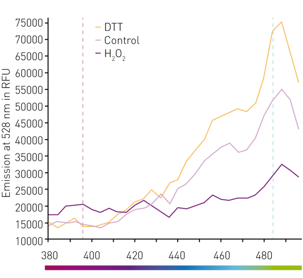Fig. 2: The redox sensor Grx-roGFP3: When reduced by DTT (organe), ﬂuorescence of Grx-roGFP3 increases when excited at 485nm and decreases when excited at 395nm. Oxidation by H2O2 (dark purple) reverses the situation. Light purple line shows unperturbed cells.