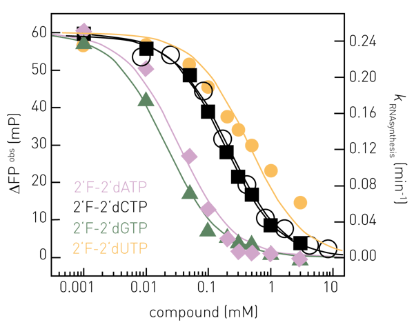Fig. 4: Inhibition of RNA synthesis in dose-response Characterization of NTP-analogues inhibiting FluPol catalysed RNA synthesis in HTS-compatible mode. Here, FP-signals were recorded after 5 minutes reaction time and yielded IC50-values of 0.03 mM, 0.2 mM, 0.02 mM and 0.45 mM for 2’F-2’dATP (purple diamonds), 2’F-2’dCTP (black squares), 2’F-2’dGTP (green triangles) and 2’F-2’dUTP (yellow circles), respectively. For comparison, a similar IC50-valueof 0.2 mM for 2’F-2’dCTP is determined by recording and ﬁ tting complete RNA synthesis kinetics (see Figure 3) and analysing the observed rate constants (black open circles) Modiﬁed from (2).