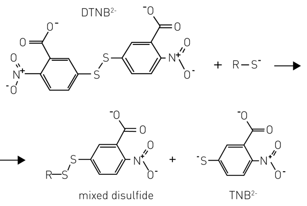 Fig. 2: Reduction of Ellman’s Reagent