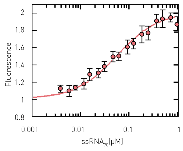 Fluorescence intensity of MDCC-SSB increases with ssRNA70 concentration Fig. 3: Fluorescence intensity of MDCC-SSB increases with ssRNA70 concentration.
