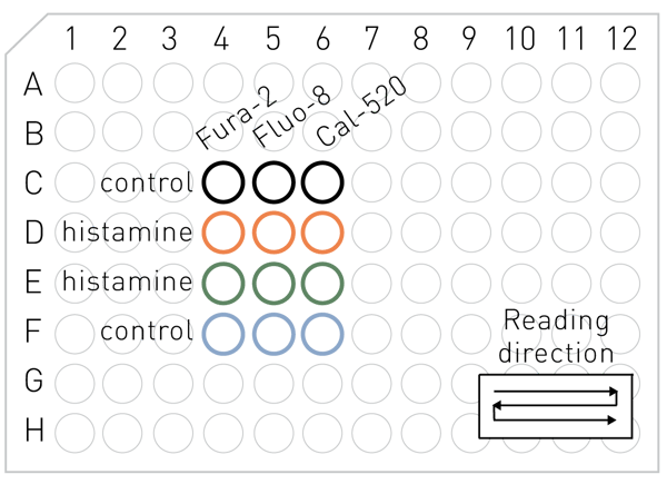 Fig. 1: Plate layout and assay principle. Cells were loaded with either Fura-2AM, Fluo-8AM or Cal-520AM and ﬂ uorescence recorded sequentially as indicated in well kinetic mode (2 min/well). Thus control replicate 1 and 2 are separated temporally by 20 minutes.