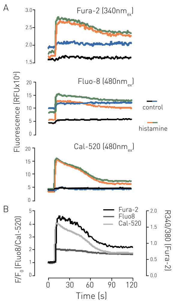 Fig. 2: Intracellular Ca2+ measurements in a 96-well plate using various calcium dyes. Cells were loaded with 2µmol/L dye and stimulated with either ddH2O (control) or histamine (10µmol/L). Duplicate traces are shown in A, and mean data is shown in B as either baseline-corrected (F/F0) or as the ratio of ﬂ uorescence intensity at 340/380nmex.
