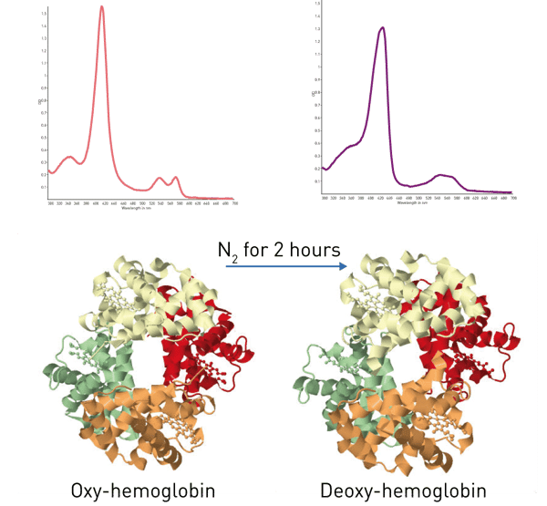 Fig. 1: ODA Assay Principle. The absorbance spectra of oxygenated and deoxygenated hemoglobin differ and are used to determine Hb oxygen afﬁnity.
