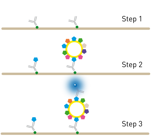 Fig. 1: Principle of the Time Resolved Immunoﬂourescence (TRIFic™) exosome detection assay.