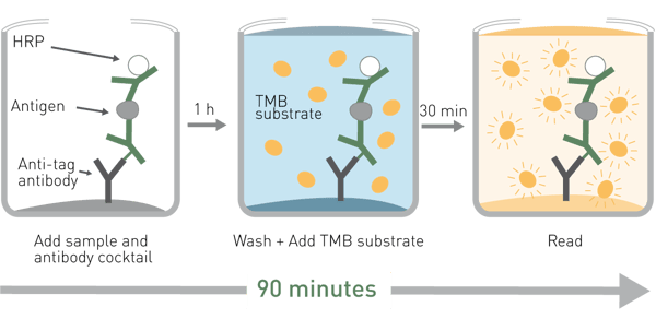 Fig. 1: SimpleStep ELISA 90-minute workﬂow