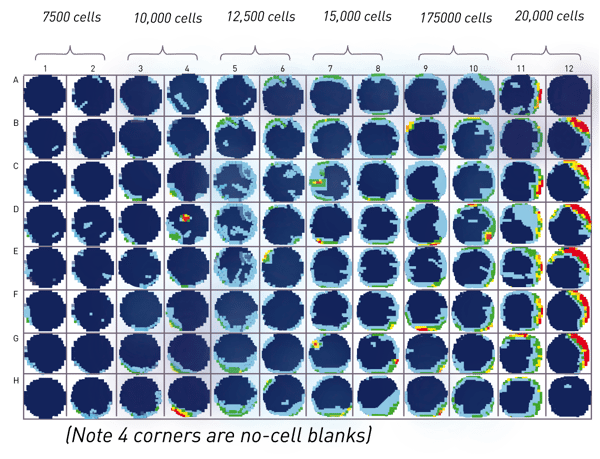 Fig. 2: Heat map of cell titration across plate (note corners contain no cells and are used for signal to blank calculation).