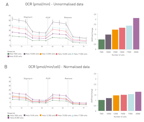 Fig. 4: Oxygen Consumption Rate during the Seahorse Mito Stress Assay. Raw data from seahorse (A) before (pmol/min) and (B) after normalisation (pmol/min/cells) are shown. OCRs are also given as fold changes based on the lowest cell density in a bar chart.