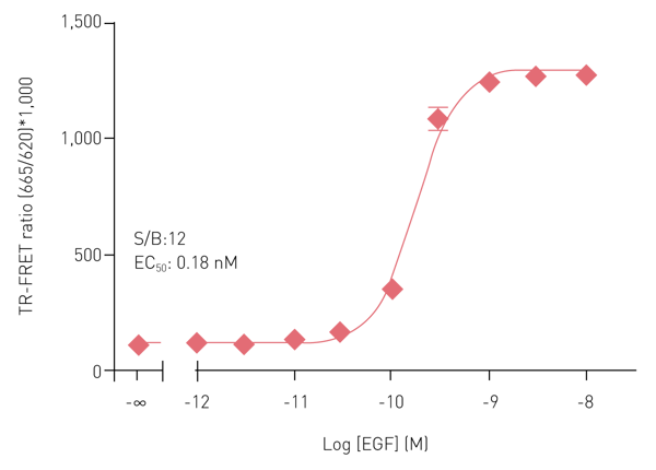 Fig. 2: THUNDER™ Phospho-ERK1/2 (T202/Y204) assay (4 hours incubation).