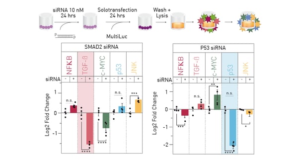 Fig. 3: Simultaneous detection of five effects of knockdown of a single multiplex constituent.