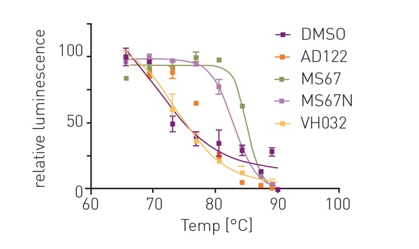 Fig. 3: Normalised HiBiT CETSA melting curves for control compounds.