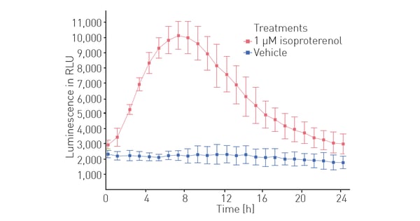 Fig. 4: Effect of isoproterenol on cell metabolism. Luminescent detection was performed in triplicate on iPSC cardiomyocytes treated with isoproterenol or vehicle as indi- cated.