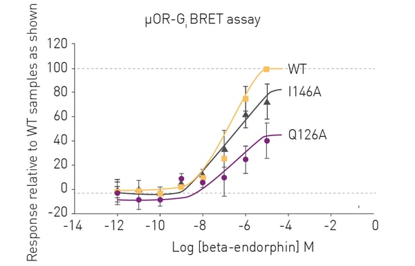 Fig. 2: Gi BRET assay for WT and mutant μ-human opioid receptors in the presence of different concentrations of β-endorphin.