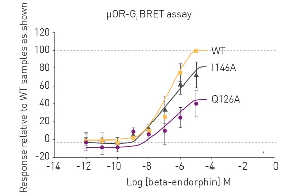 Fig. 2: Gi BRET assay for WT and mutant μ-human opioid receptors in the presence of different concentrations of β-endorphin.