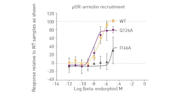 Fig. 3: β-Arrestin recruitment assay for WT and mutant μ-human opioid receptors in the presence of different concentrations of β-endorphin. 