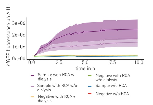 Fig. 2: Comparison of protein synthesis in cell-free extracts for a GFP expression construct with and without prior amplification using RCA. Additionally, dialysis of RCA amplified DNA was examined.