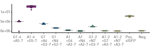Fig. 3: In vitro validation of discovered novel GFP variants. G: sfGFPfragments; A: mAvicFP1-fragments; N: mNeonGreenfragments.