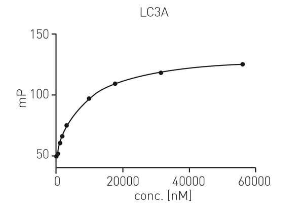 Fig. 2: Graphical representation of a protein titration (LC3A) against 30 nM of tracer peptide. Tracer KD was determined through an exponential ﬁt. n=2